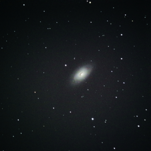 M64