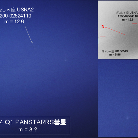 薄明に尾を引く 2014 Q1 PANSTARRS彗星