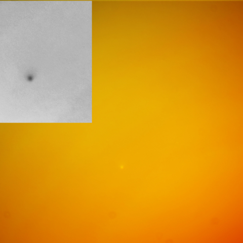 近日点通過前のC/2014 Q1 パンスターズ彗星