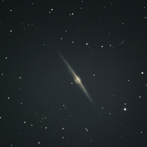 NGC4565