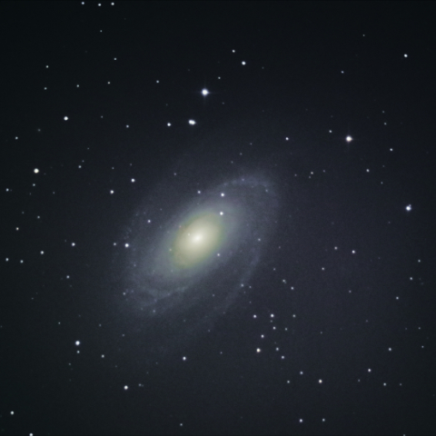経緯台で撮る M81