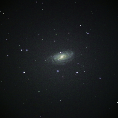 NGC3953 おおぐま座 棒渦巻銀河