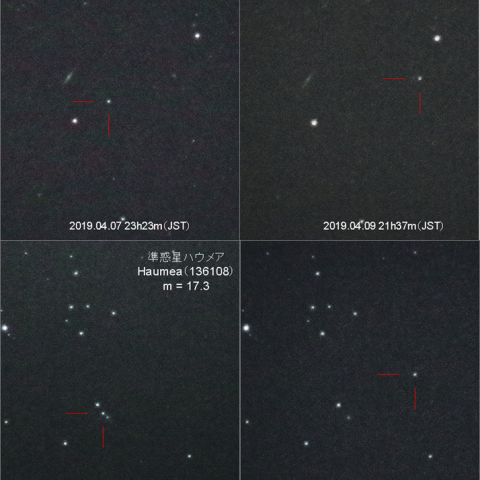 4月8日に衝を迎えたマケマケ ほか