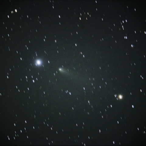 260P McNaught 彗星 9月24日