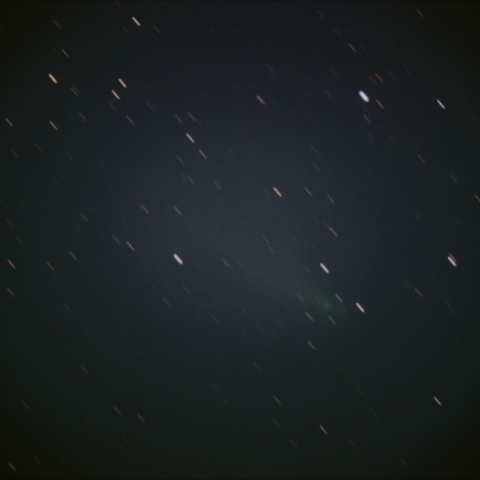 2019Y4 ATLAS 彗星 5/5 月光強し