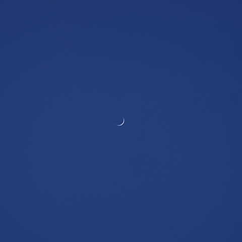 青空に金星 5/26