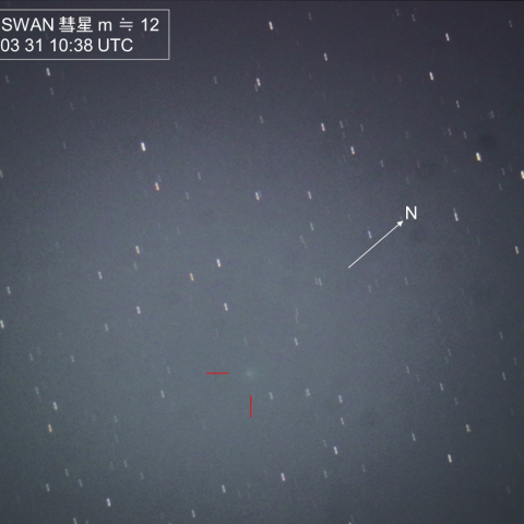  2021D1 SWAN 彗星 3/31