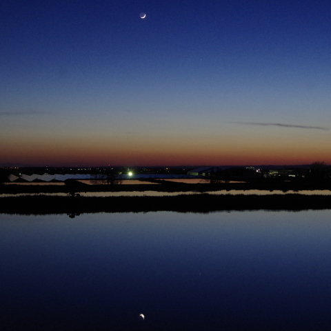 月と内惑星 5/14