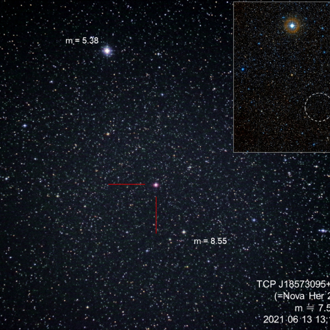 ヘルクレス座 新星 6/13