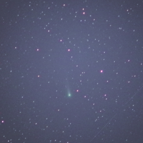 2021A1 Leonard 彗星 11/29 未明