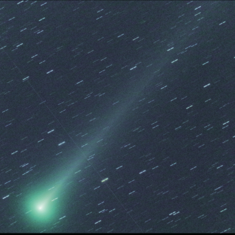 2021A1 Leonard 彗星 12/09 未明