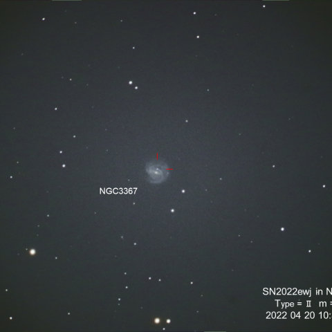 SN2022ewj in NGC3367