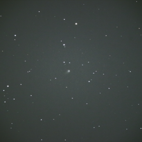 2020V2 ZTF 彗星 4/23