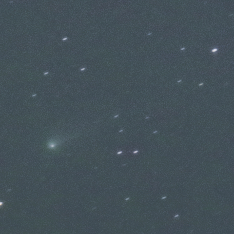 未明の 81P Wild 第2彗星