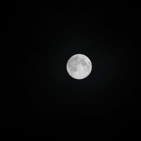 BlueMoon1
