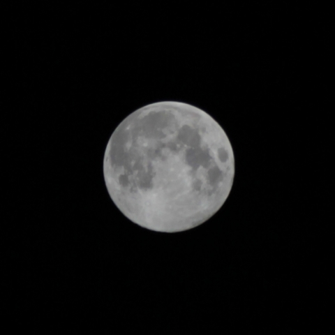 BlueMoon2