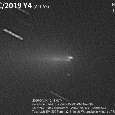 C/2019 Y4(ATLAS) の分裂