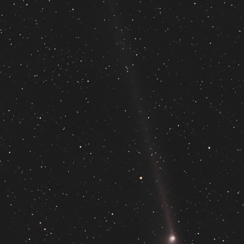 6月1日 C/2011 L4 Panstarrs