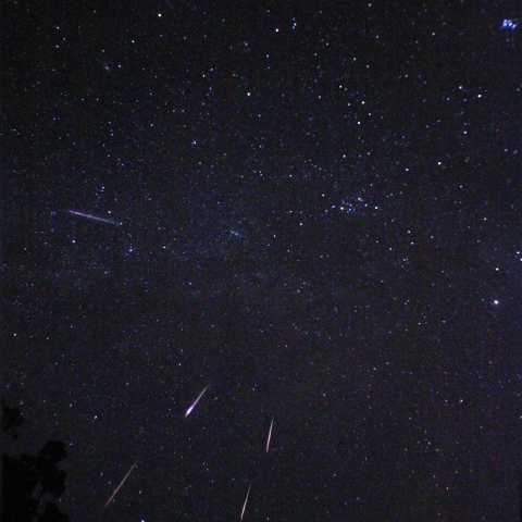 8/12-13ペルセウス座流星群