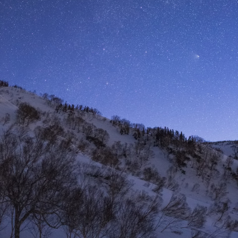 パンスターズ彗星（4月14日・朝）