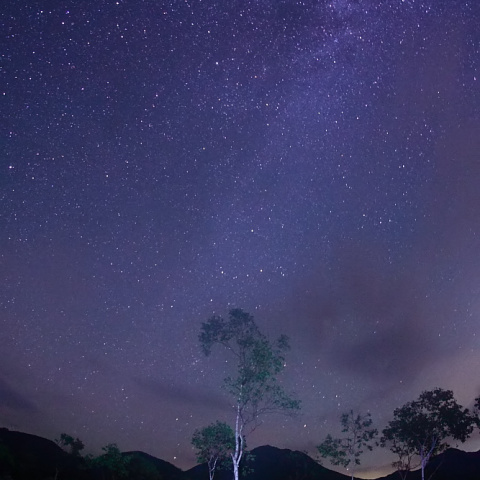 白樺より流れる銀河