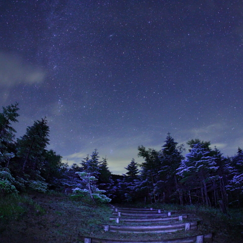 大弛峠の星