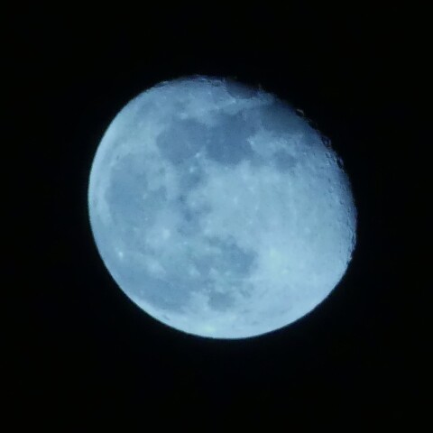 10月31日の月（月齢16.4）