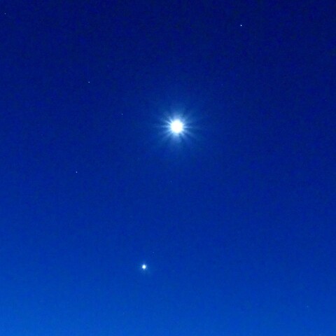 しし座の月と金星