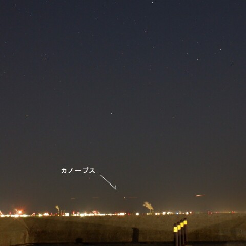 カノープス（習志野市茜浜）