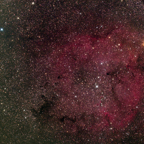 IC1396