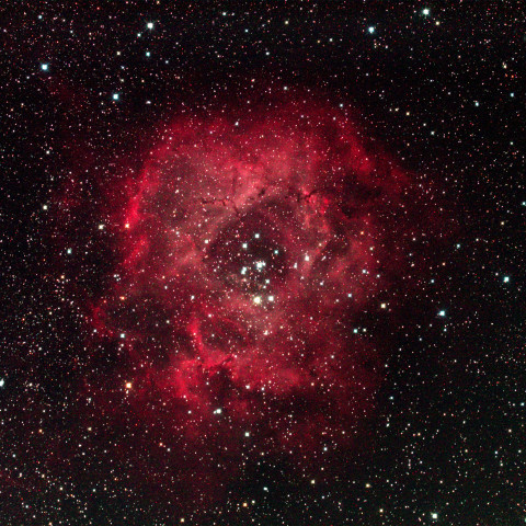 バラ星雲　NGC2237/2244