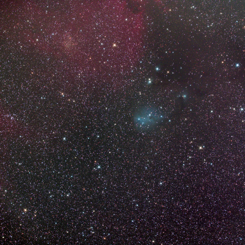 カタツムリ星雲周辺（IC2169周辺）