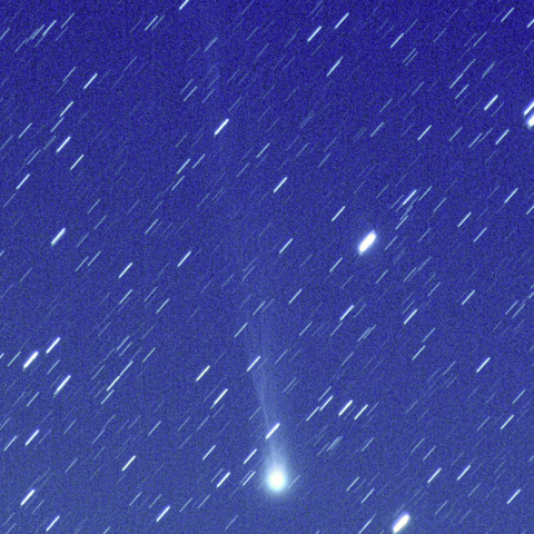 レモン彗星 (C/2025 A6)