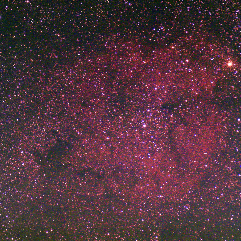 ケフェウス座散開星団 IC1396