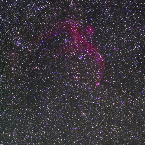 IC2177 散光星雲 かもめ星雲