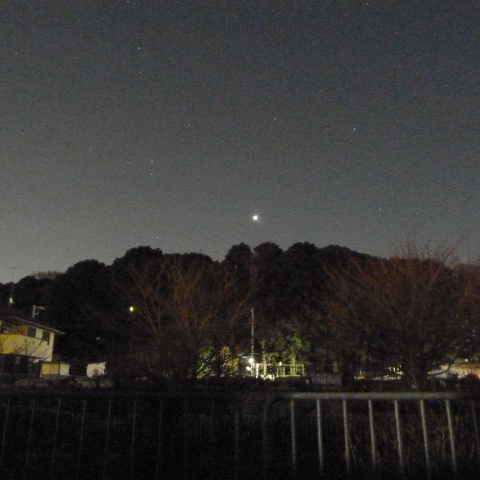 森から昇る明けの明星