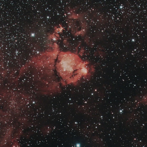 LBN645  魚頭星雲