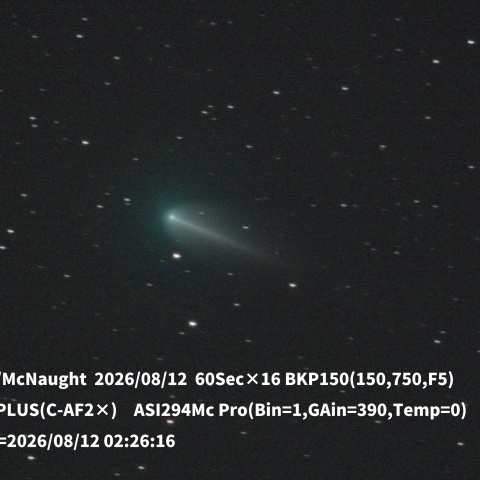 220P/McNsught
