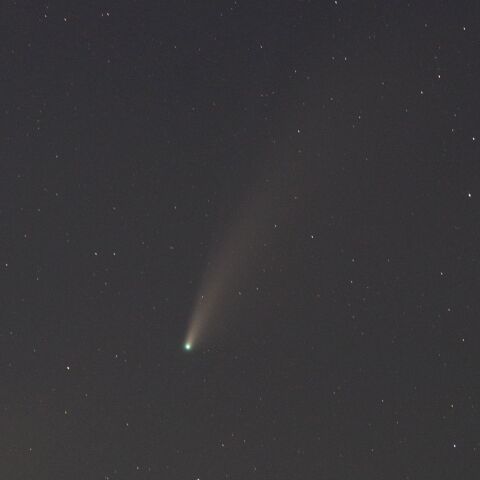 ネオワイズ彗星（7月21日）