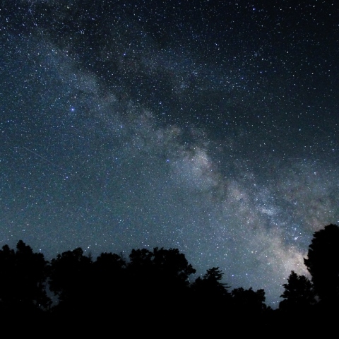 木の間へ流れ込む天の川