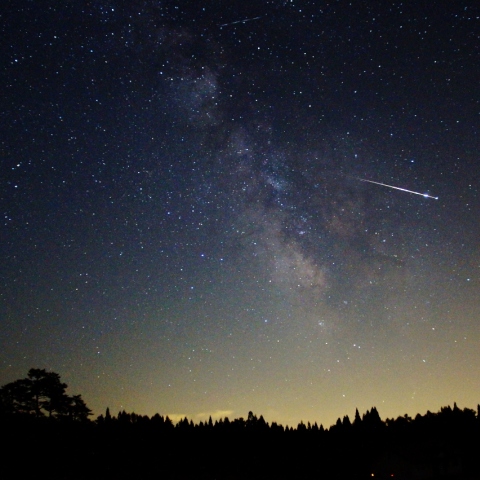 さそりに飛び込む一筋の光