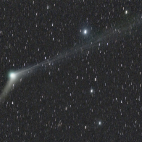 12/19のC/2013 US10 カタリナ彗星