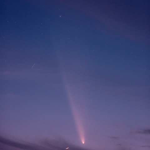 紫金山、アトラス彗星