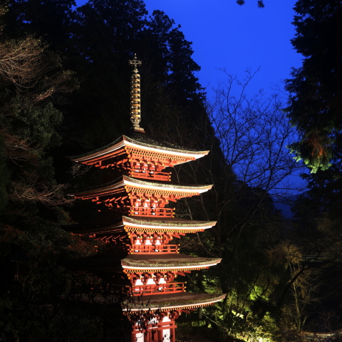 おぼろ月と室生寺五重塔