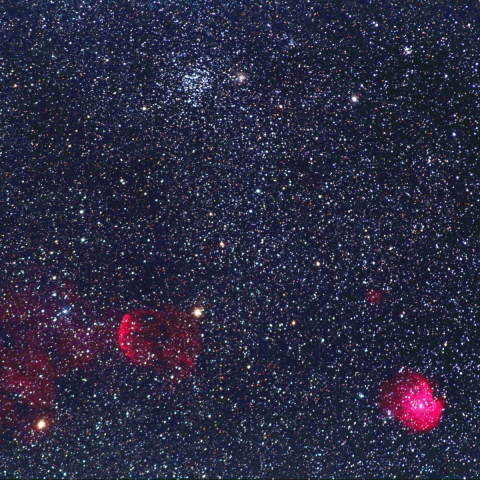 モンキー、クラゲ付近