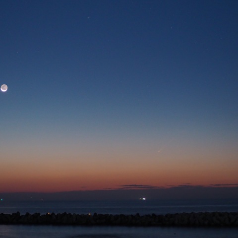 紫金山・アトラス彗星