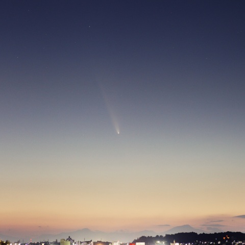 紫金山・アトラス彗星