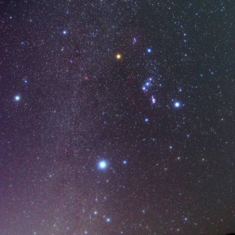 冬の星座たちとの再会