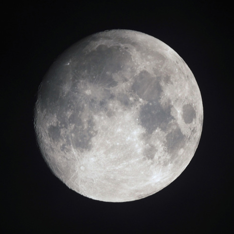 今年二度目の十三夜のお月様