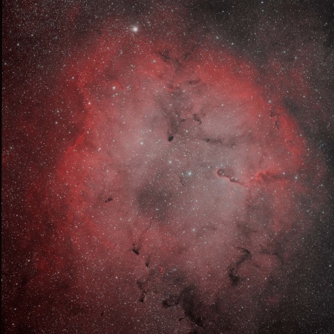 IC1396